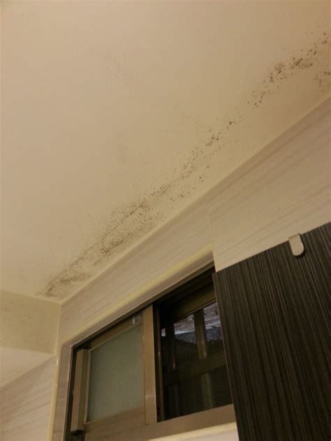 天花板黴菌 房門闊度